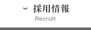 採用情報